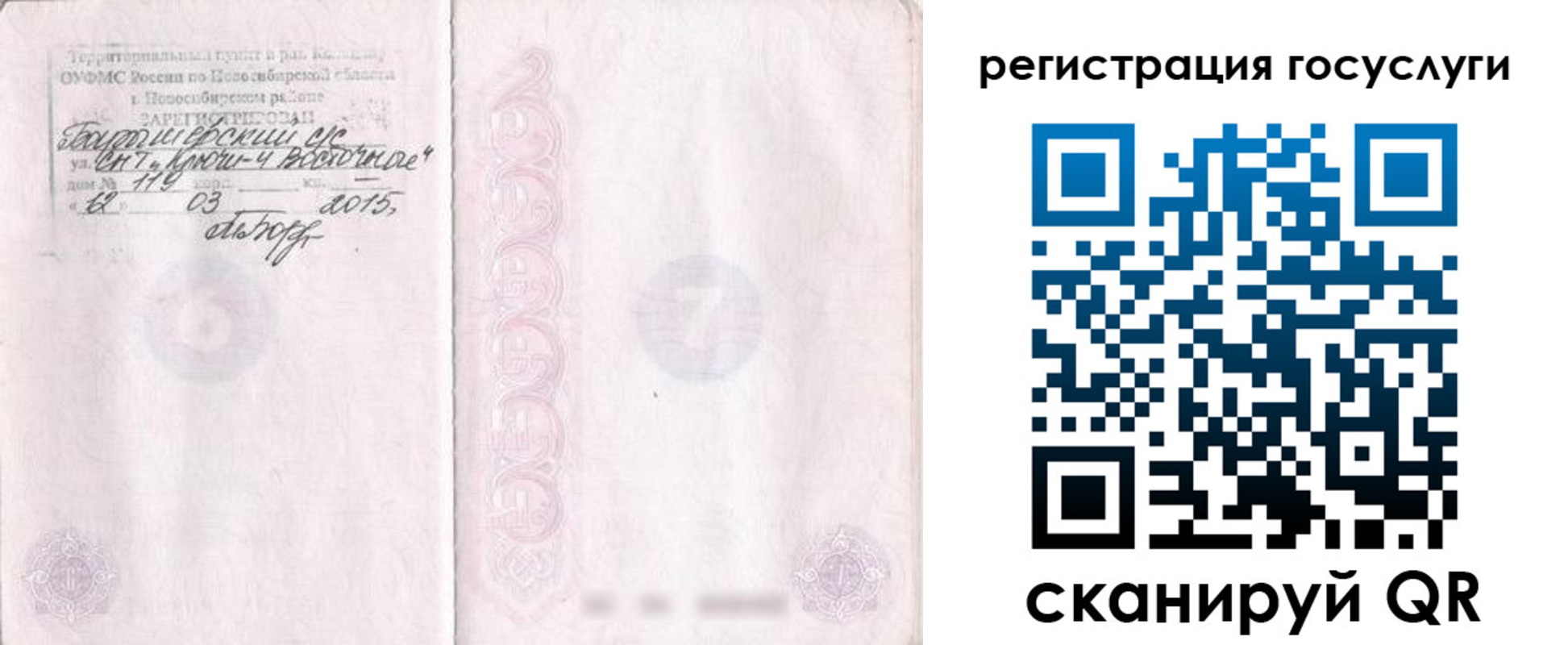 прописка для школы в Суворове